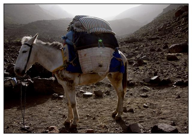 toubkal 169 (Small).jpg